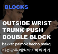 Taekwondo Trunk Push Middle Block