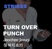 Taekwondo Turn Over Punch ( 젖혀지르기 jeocheo-jireugi )