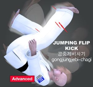 Jumping Flip Kick ( 공중제비차기 gongjungjebi-chagi )