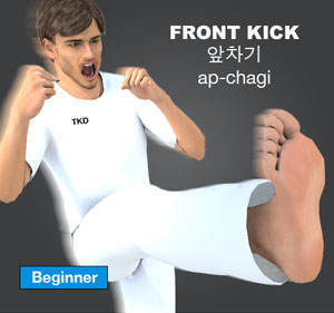 Front Kick ( 앞차기 ap-chagi )