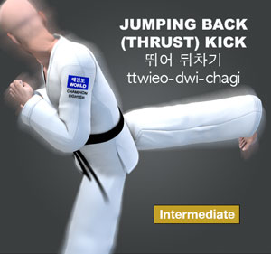 Jumping Back (Thrust) Kick ( 뛰어 뒤차기 ttwieo-dwi-chagi )