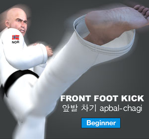 Front Foot Kick ( 앞발 차기 apbal-chagi )