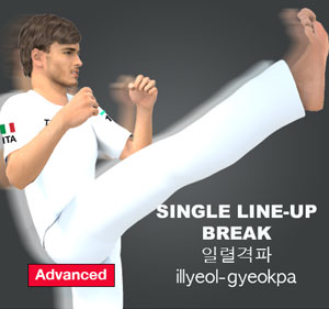 Single Line-up Break ( 일렬격파 illyeol-gyeokpa )