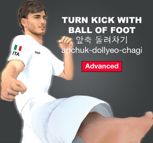 Turn Kick with Ball of Foot ( 앞축 돌려차기 apchuk-dollyeo-chagi )