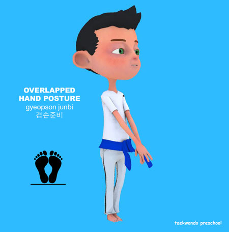 Overlapped Hand Posture