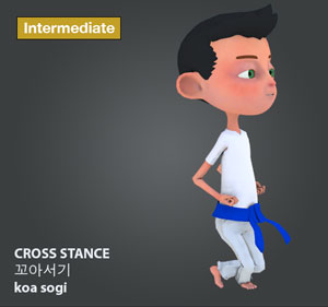 Forward Cross Stance ( 앞 꼬아서기 ap-koa-sogi )