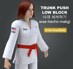 Trunk Push Low Block ( 아래 헤쳐막기 arae-hecho-makgi )