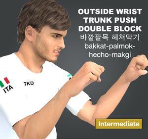 Outside Wrist Double Block ( 바깥팔목 헤쳐막기 bakkat-palmok-hecho-makgi )