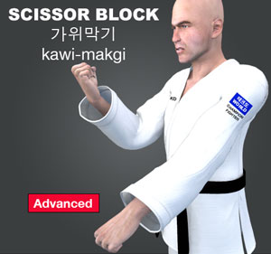 Scissors Block ( 가위막기 kawi-makgi )