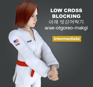 Low Cross Block ( 아래 엇걸어막기 arae-otgoreo-makgi )