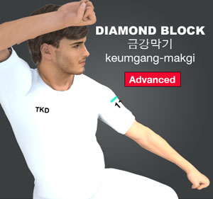 Diamond Block ( 금강막기 keumgang-makgi )