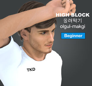 High Block ( 올려막기 olgul-makgi )