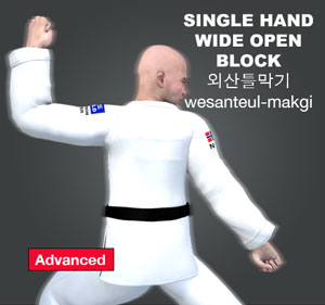 Single Hand Wide Open Block ( 외산틀막기 wesanteul makgi )