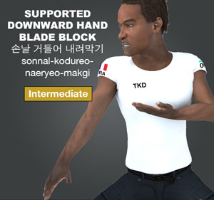 Supported Hand Blade Downward Block ( 손날 거들어 내려막기 sonnal-kodureo-naeryeo-makgi )