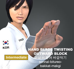 Hand Blade Twisting Outward Block ( 손날 비틀어 바깥막기 sonnal-bitureo-bakkat-makgi )