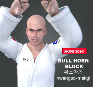 Bull Horn Block ( 황소막기 hwangso-makgi )