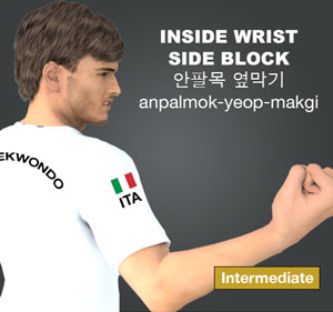 Inside Wrist Side Block ( 안팔목 옆막기 anpalmok-yeop-makgi )