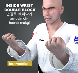 Inside Wrist Double Block ( 안팔목 헤쳐막기 anpalmok-hecho-makgi )