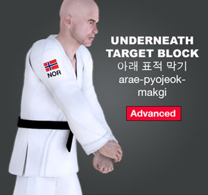 Underneath Target Block ( 아래 표적 막기 arae-pyojeok-makgi )