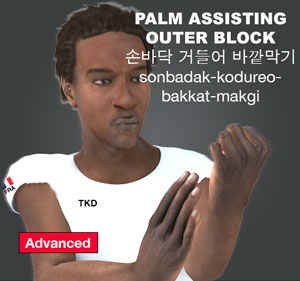 Palm Assisting Outer Block ( 손바닥 거들어 바깥막기 sonbadak-kodureo-bakkat-makgi )