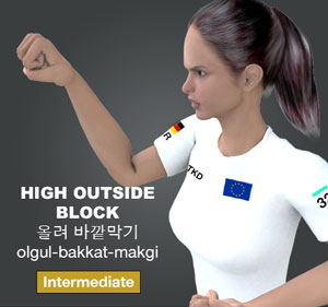 High Outside Block ( 올려 바깥막기 olgul-bakkat-makgi )