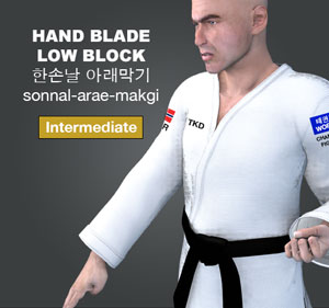 Hand Blade Low Block ( 한손날 아래막기 sonnal arae makgi )