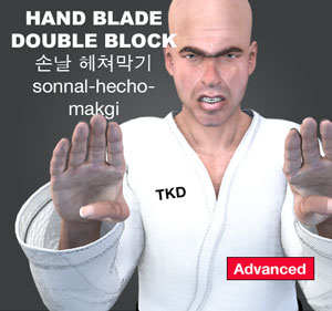 Hand Blade Double Block ( 손날 헤쳐막기 sonnal hecho makgi )