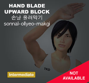 Hand Blade Upward Block ( 손날 올려막기 sonnal-ollyeo-makgi )