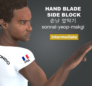 Hand Blade Side Block ( 손날 옆막기 sonnal-yeop-makgi )