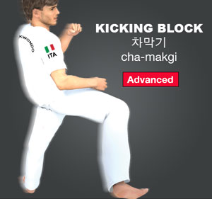 Kicking Block ( 차막기 cha-makgi )