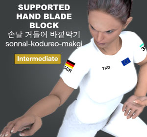 Supported Hand Blade Outward Block ( 손날 거들어 바깥막기 sonnal-kodureo-makgi )