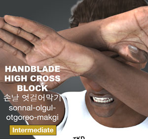 Hand Blade High Cross Block ( 손날 엇걸어막기 sonnal-olgul-otgoreo-makgi )