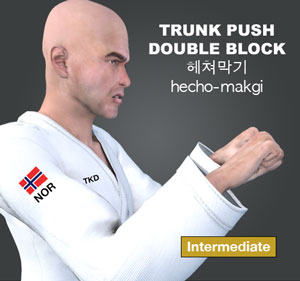 Trunk Push Double Block ( 헤쳐막기 hecho-makgi )