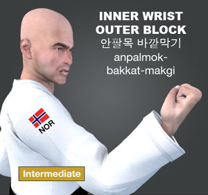 Inner Wrist Outer Block ( 안팔목 바깥막기 anpalmok-bakkat-makgi )