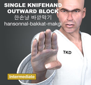 Single KnifeHand Outward Block ( 한손날 바깥막기 hansonnal bakkat makgi )