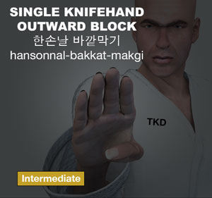 Single Knife Hand Outward Block ( 한손날 바깥막기 hansonnal-bakkat-makgi )