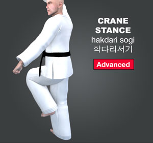 Crane Stance ( 학다리서기 hakdari-sogi )