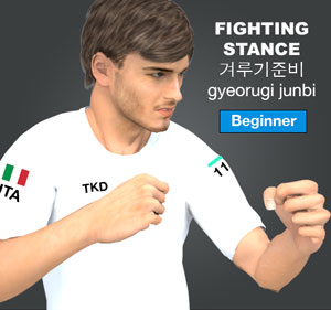 Fighting Stance ( 겨루기준비 gyeorugi-junbi )