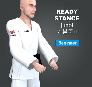 Ready Stance ( 기본준비 junbi )