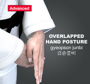 Overlapping Hand Posture ( 겹손준비 gyeopson-junbi )