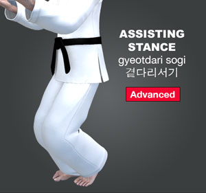 Assisted Stance ( 곁다리서기 gyeotdari-sogi )