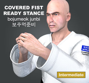 Covered Fist Ready Stance ( 보주먹준비 bojumeok-junbi )