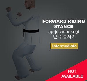 Forward Riding Stance ( 앞 주춤서기 ap-juchum-sogi )