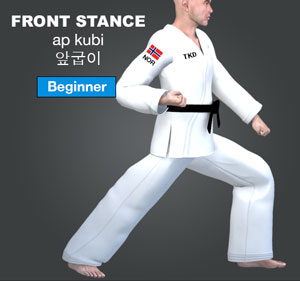 Front Stance ( 앞굽이 ap-kubi )