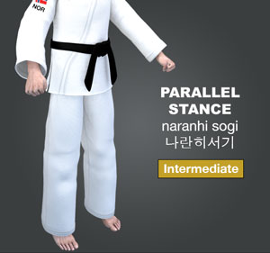 Parallel Stance ( 나란히서기 naranhi-sogi )