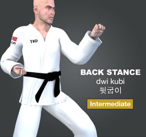 Back Stance ( 뒷굽이 dwi-kubi )