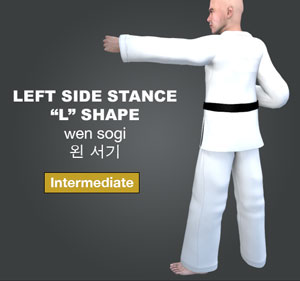 Left Side Stance ( 왼 서기 wen-sogi )