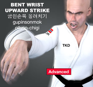 Bent Wrist Upward Strike ( 굽힌손목 올려치기 gupinsonmok-ollyeo-chigi )