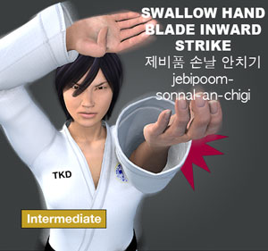 Swallow Hand Blade Inward Strike ( 제비품 (손날) 안치기 jebipoom-sonnal-an-chigi )