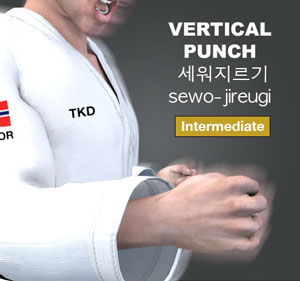 Vertical Punch ( 세워지르기 sewo-jireugi )